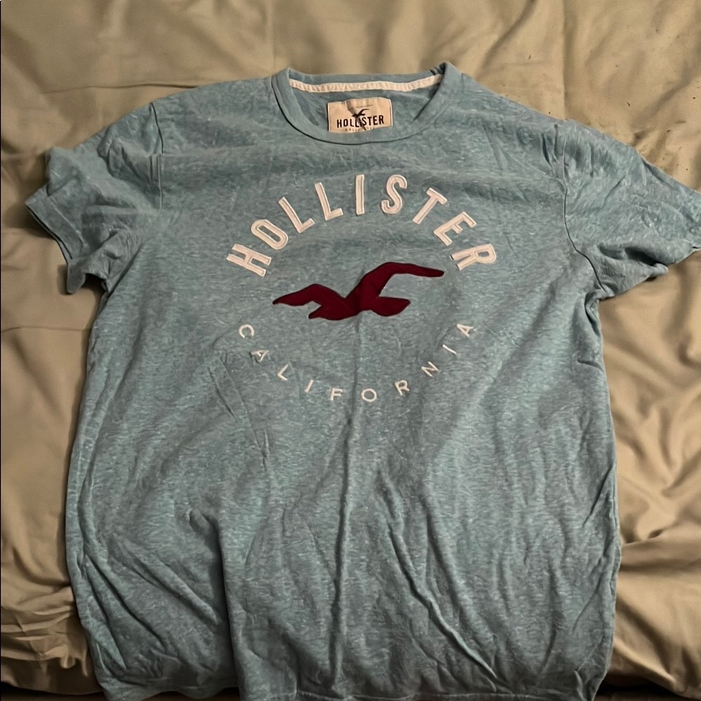 Hollister Men's Blue T-Shirt